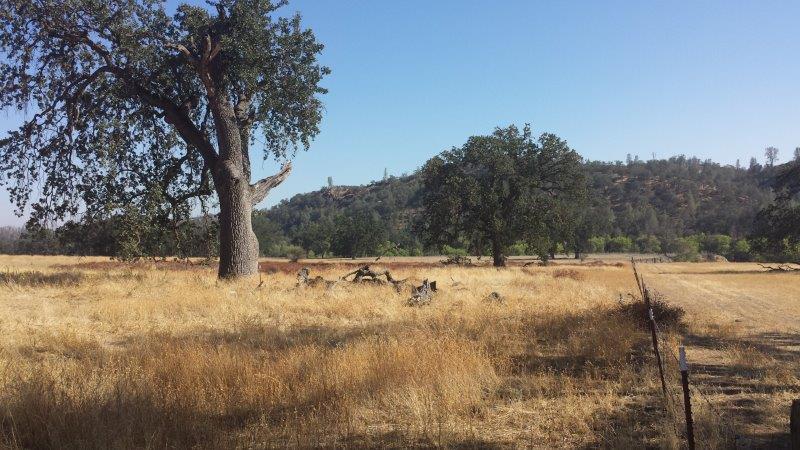 E - Mixed Farm Land, Ranch Land, and Woodlands